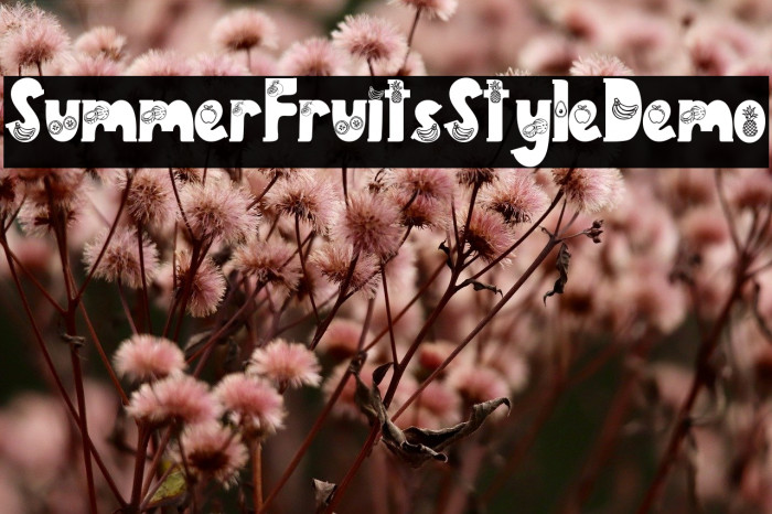 Summer Fruits Style Demo Example 2