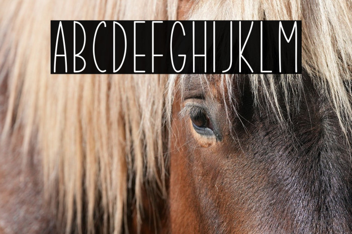 Summer Garden Example 1