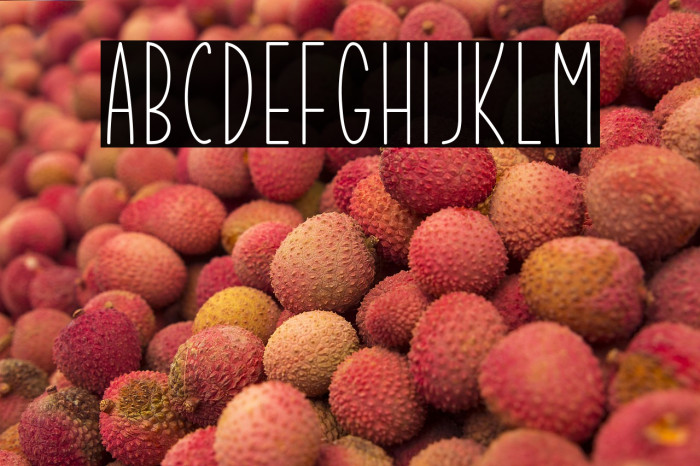 Summer Garden Example 2