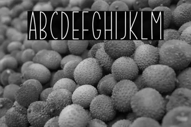 Summer Garden Font examples