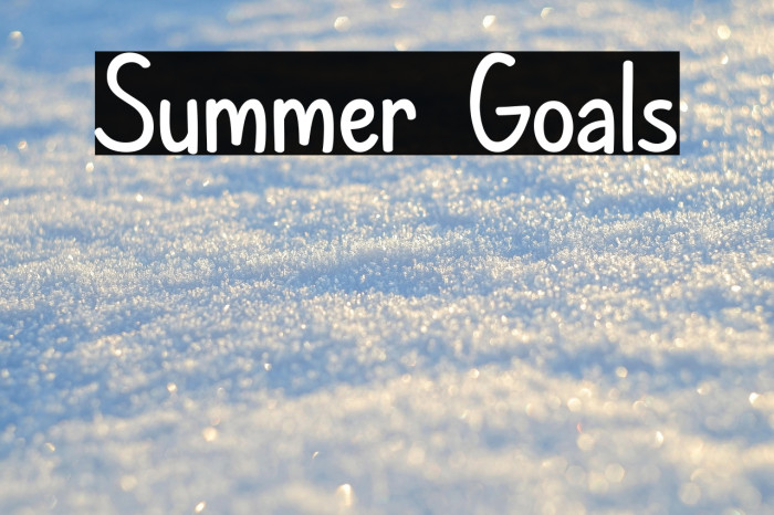 Summer Goals Example 1