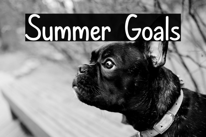 Summer Goals Example 2