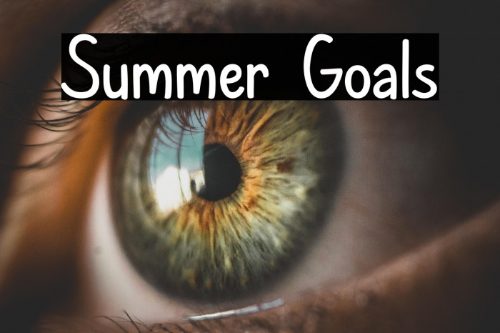 Summer Goals Example 3