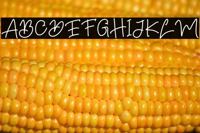 Summer Hellow Regular Example 3