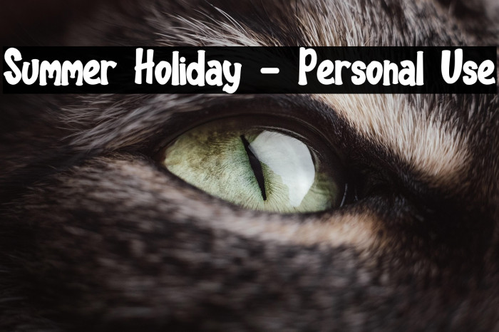 Summer Holiday - Personal Use Example 3