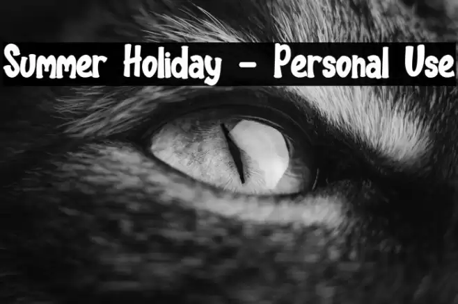 Summer Holiday - Personal Use Font examples