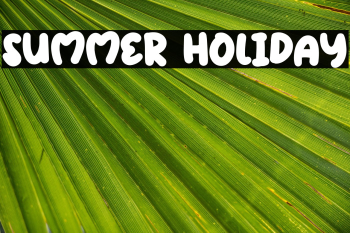 Summer Holiday Example 2