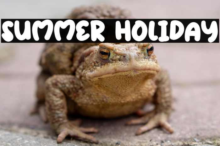 Summer Holiday Example 3