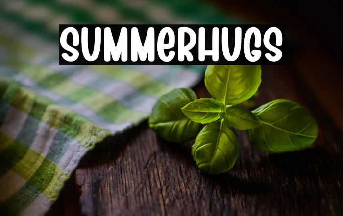 Summer Hugs Example 2