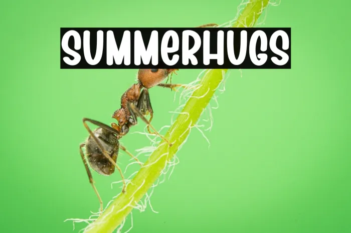Summer Hugs Example 3
