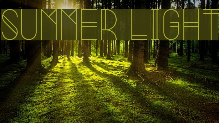 Summer Light Font examples