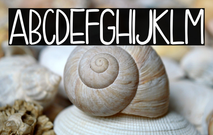 Summer Like Sans Example 2