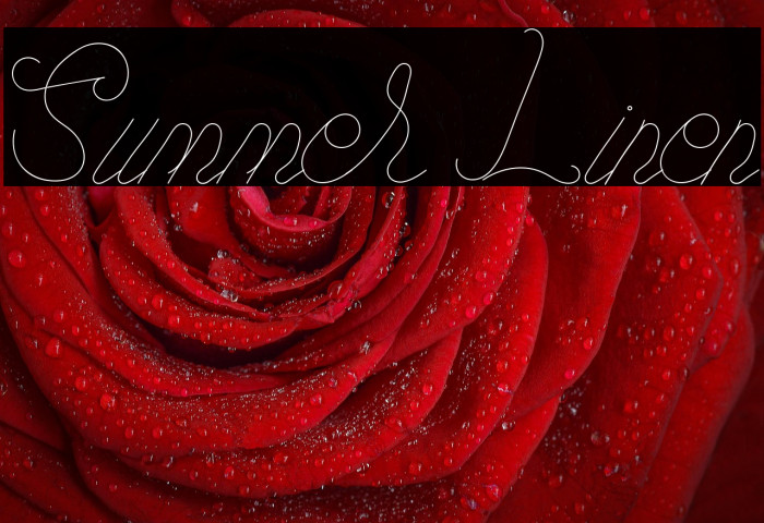 Summer Linen Example 3