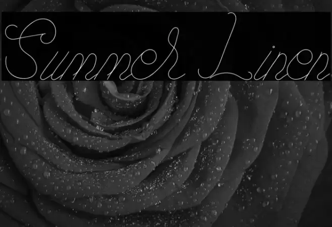 Summer Linen Font examples