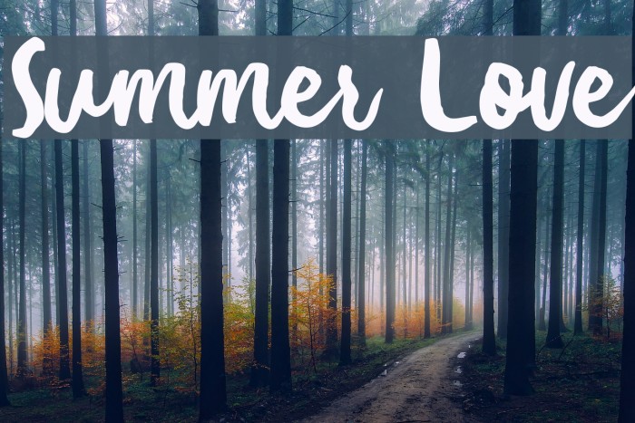 Summer Love Font examples