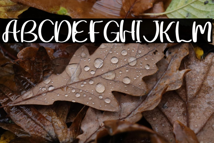 Summer Lovely Example 2