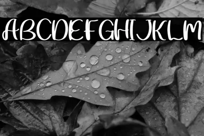 Summer Lovely Font examples