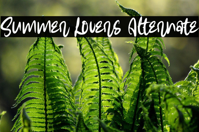 Summer Lovers Alternate Example 1