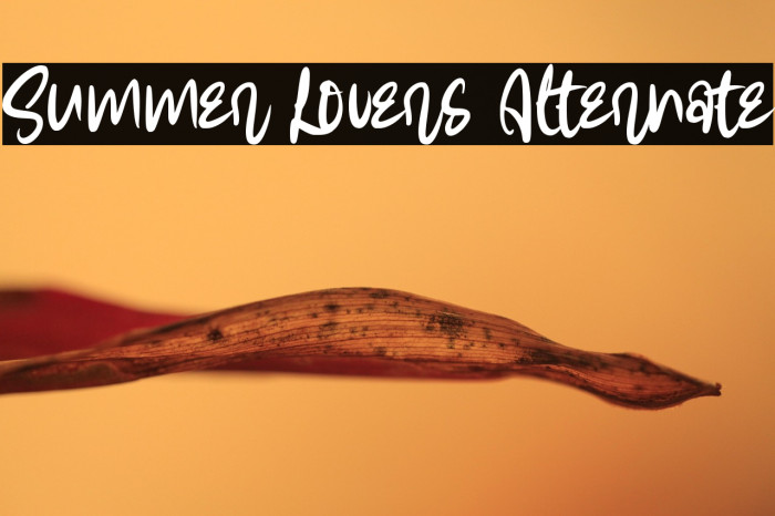 Summer Lovers Alternate Example 2