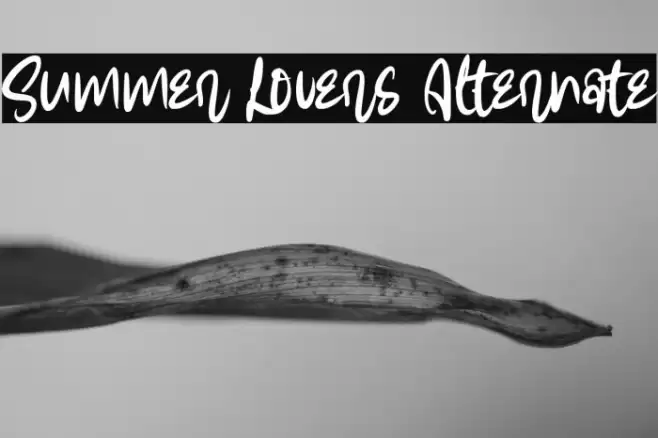 Summer Lovers Alternate Font examples