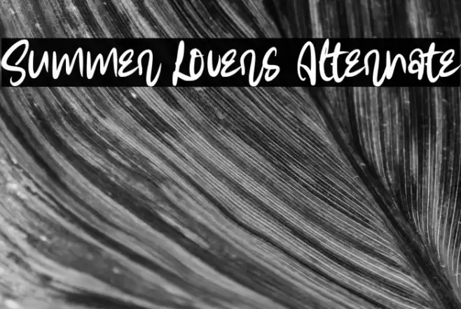 Summer Lovers Alternate Font examples