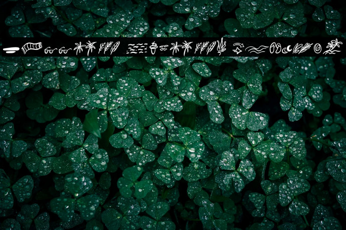 Summer Lovers Dingbat Example 1