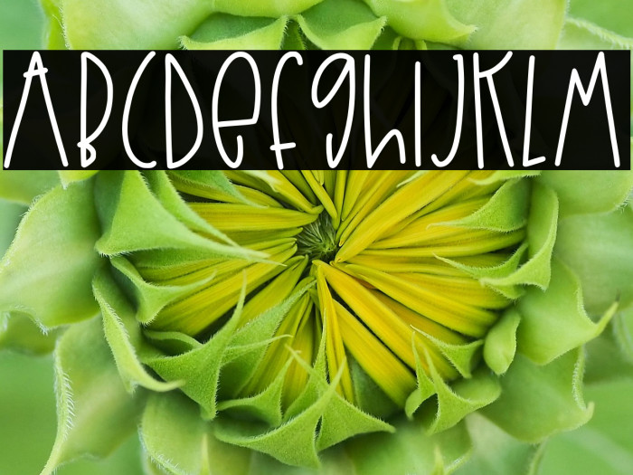 Summer Macaron Example 2