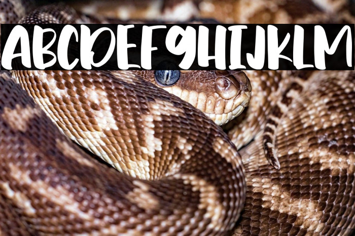 Summer Matters Example 2