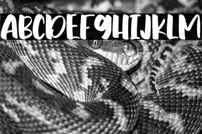 Summer Matters Font examples