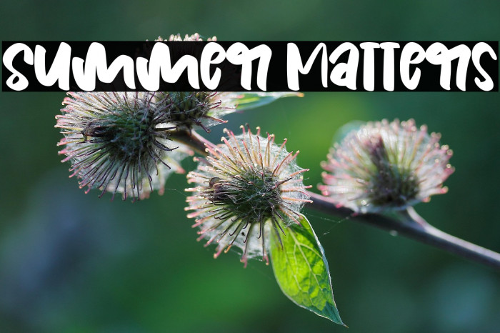 Summer Matters Example 1