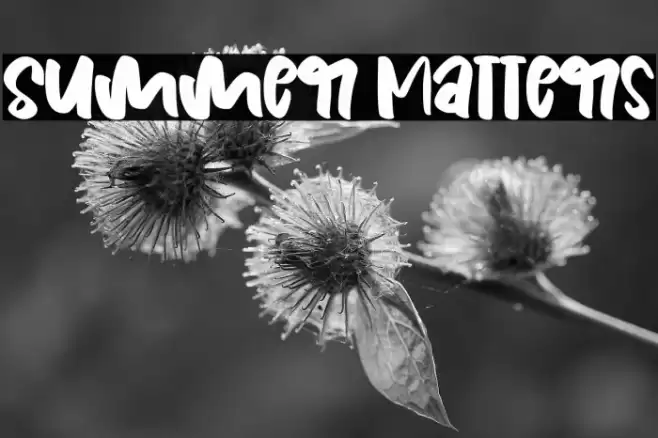 Summer Matters Caratteri examples