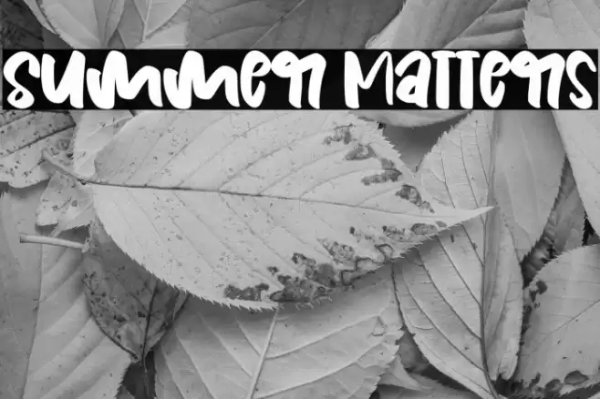 Summer Matters Caratteri examples