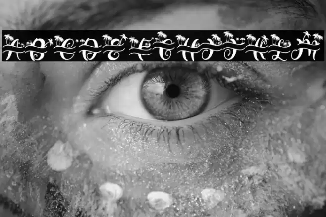 Summer Monogram (Monogram) Font examples