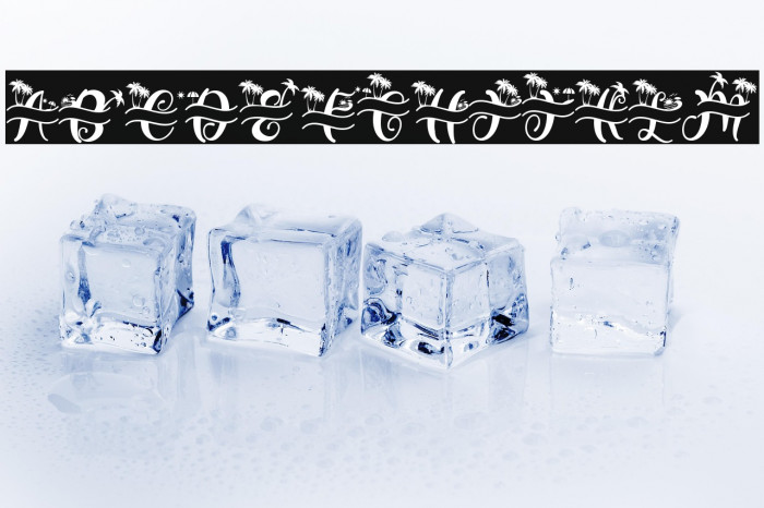 Summer Monogram (Monogram) Example 3