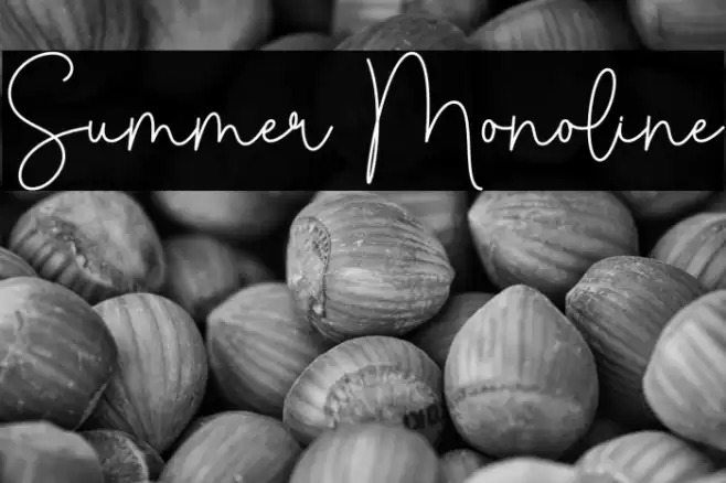 Summer Monoline Caratteri examples
