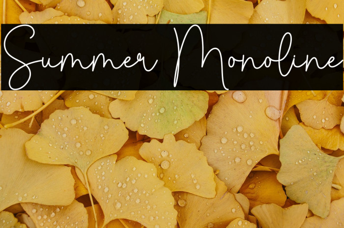 Summer Monoline Example 3