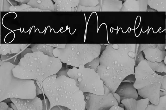 Summer Monoline Caratteri examples