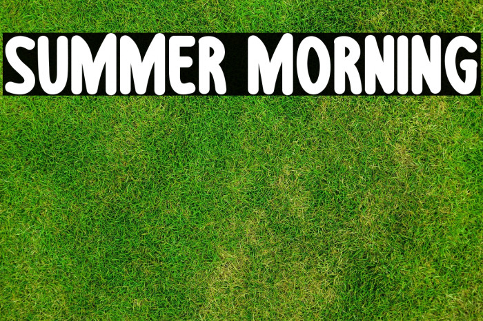 Summer Morning Example 1