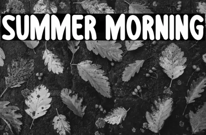 Summer Morning फ़ॉन्ट examples