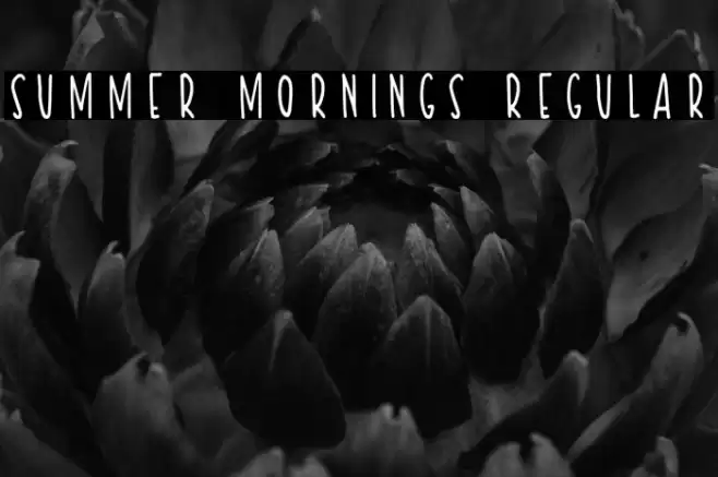 Summer Mornings Regular Font examples