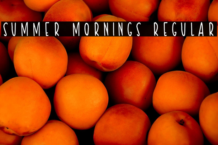 Summer Mornings Regular Example 2