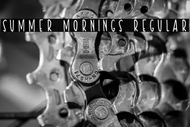 Summer Mornings Regular Font examples