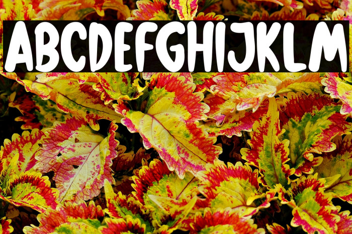 Summer Motion Example 2