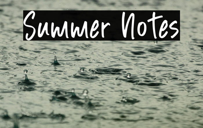 Summer Notes Example 2