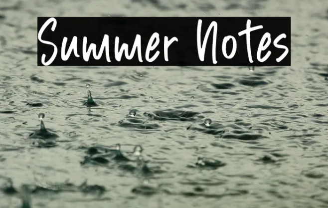 Summer Notes Example 2