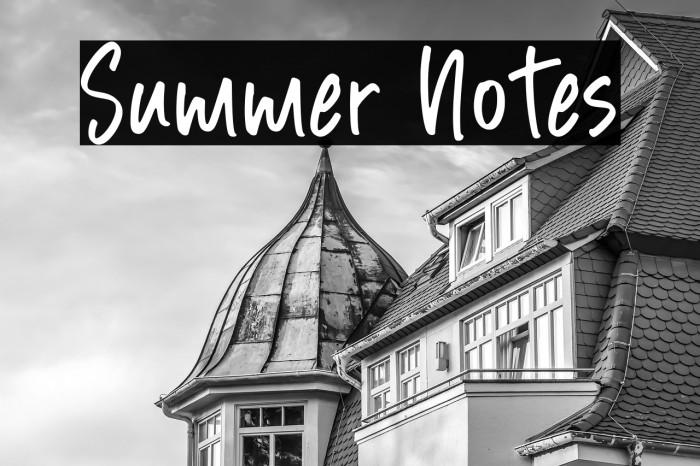 Summer Notes Example 3