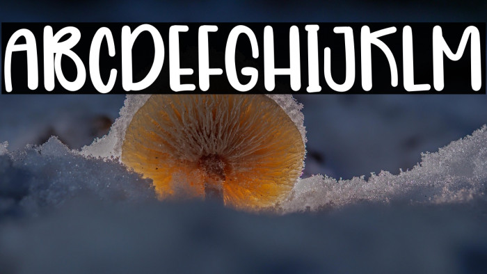 Summer Paradise Example 2