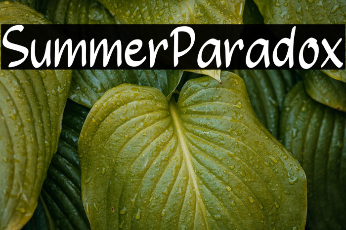 Summer Paradox Example 2