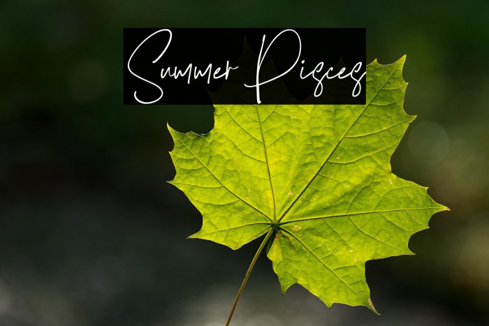 Summer Pisces Example 2