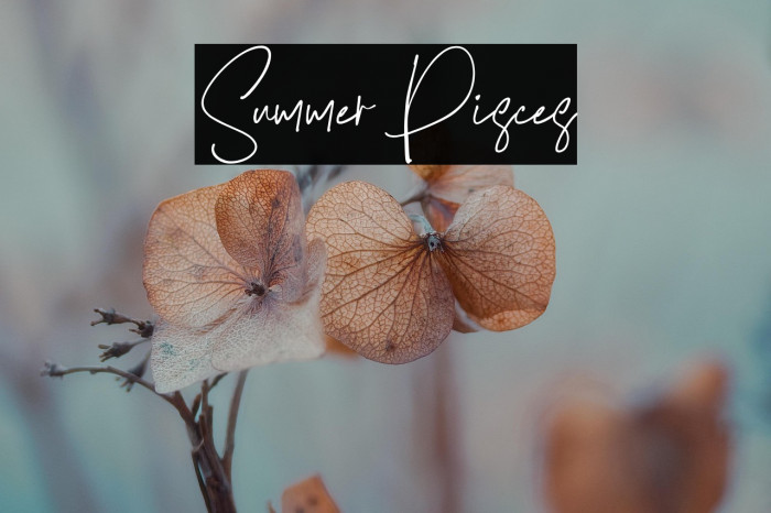 Summer Pisces Example 3